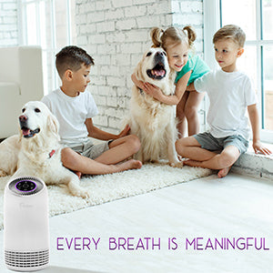 The Importance of the TechCare True HEPA Air Purifier in Helping With Allergies